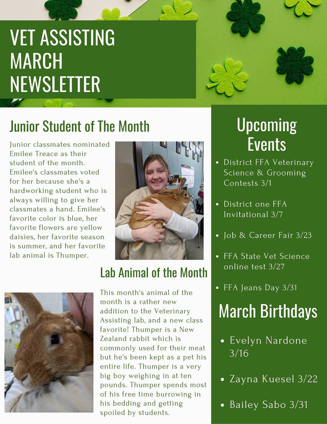 Newsletter