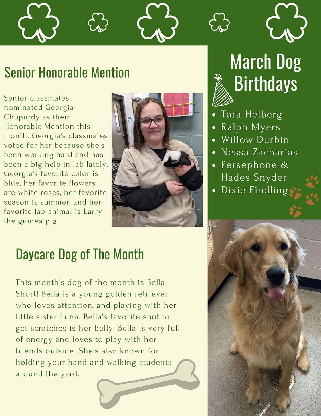 Newsletter