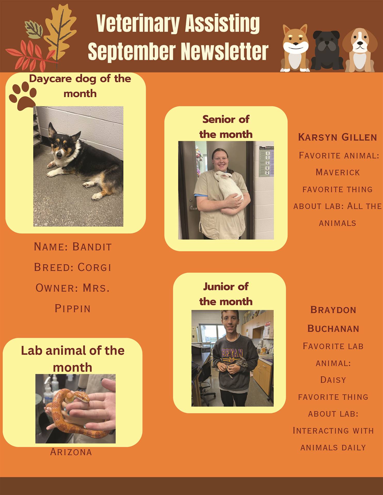Newsletter